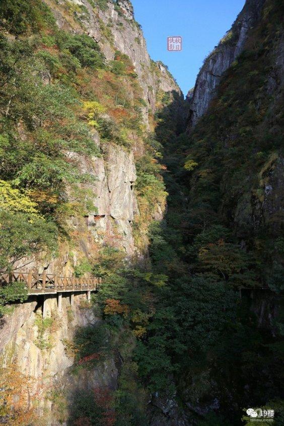 “惠图仿石漆”冠名高铁列车从昆明站首发磨憨